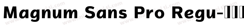 Magnum Sans Pro Regu字体转换